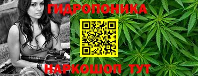 стафф Краснокаменск