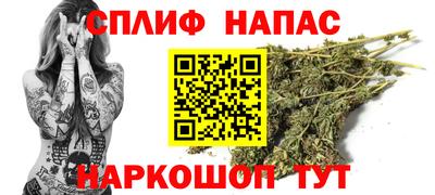 гидропоника Краснознаменск