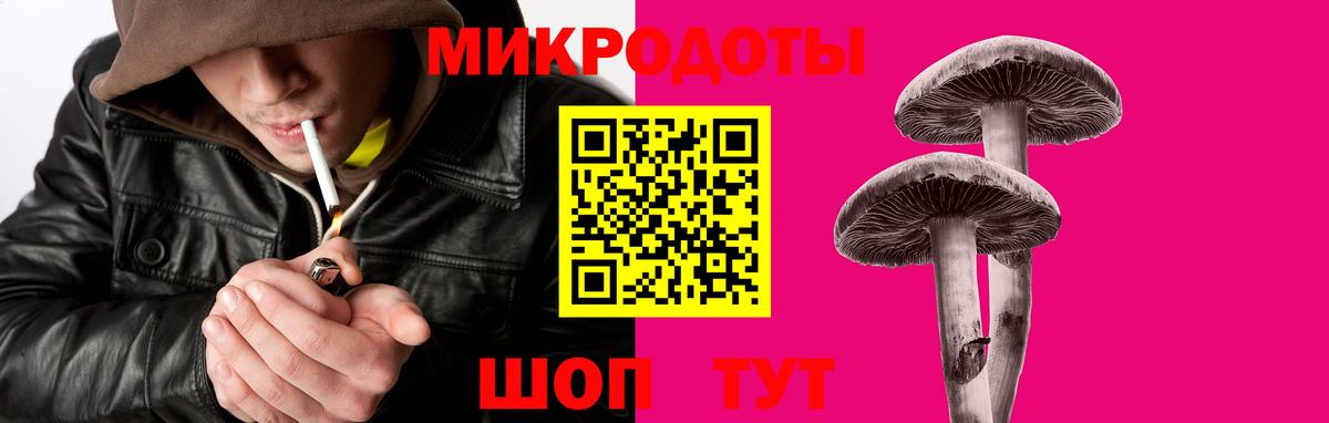Галлюциногенные грибы Cubensis Тара